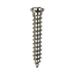 Mini Screw Double Slotted Self Holding