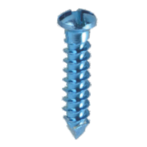 Mini Screw Double Slotted