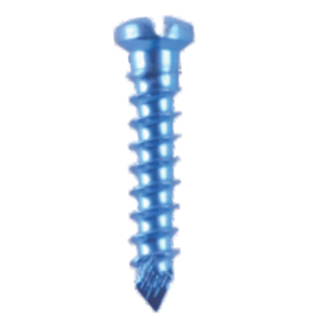 Mini Screw Single Slotted