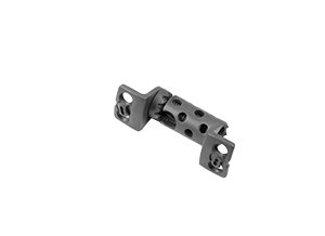 Expandable Cage With Plate