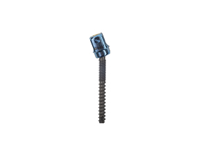 MIS Poly Axial Screw