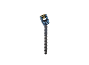 MIS Poly Axial Screw