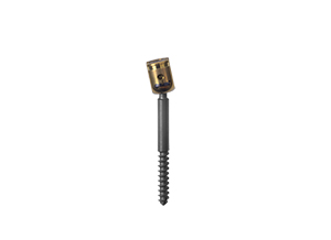 Occipital Polyaxial Screw Partially Threaded