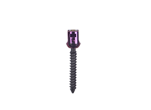 Pedicle Polyaxial Screw - Back