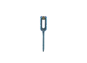 Pedicle Reduction Monoaxial Screw